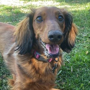 Meet your Posher, Arturo